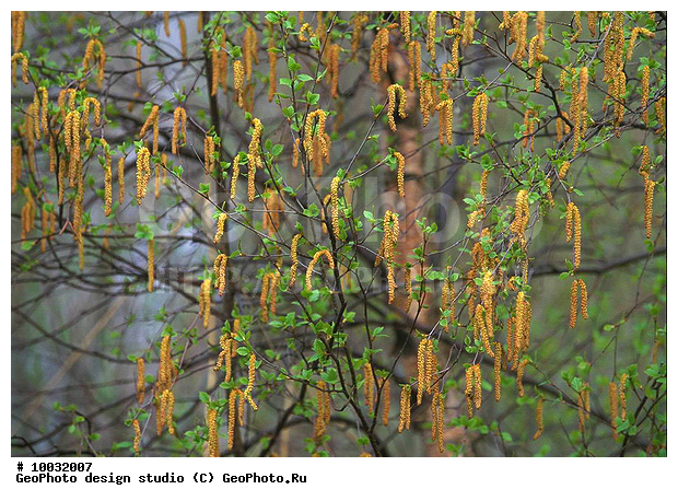 12, 2007, ���������