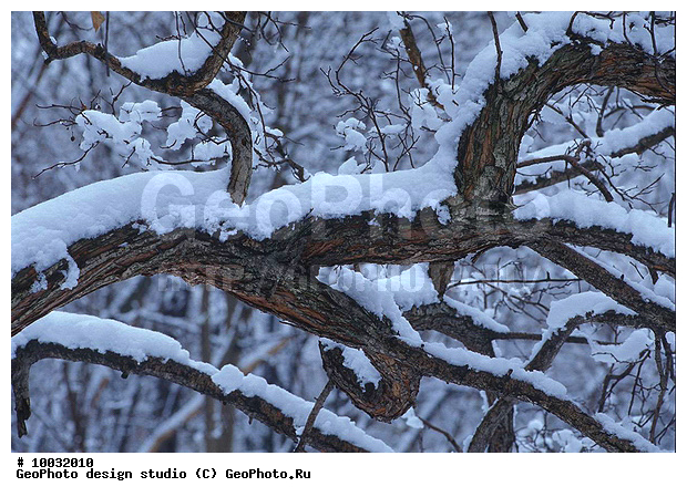 12, 2007, ���������