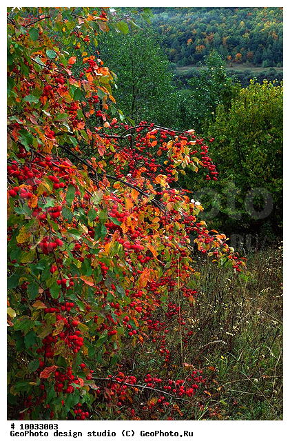 12, ������������, ���������, ���