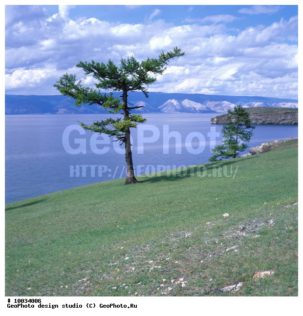 12, ���������