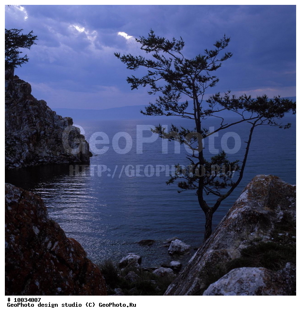 12, ���������