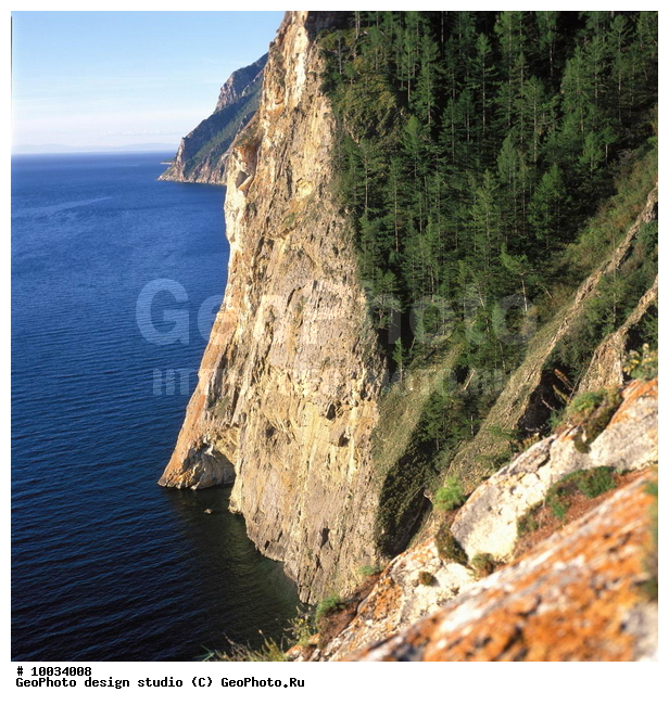 12, ���������