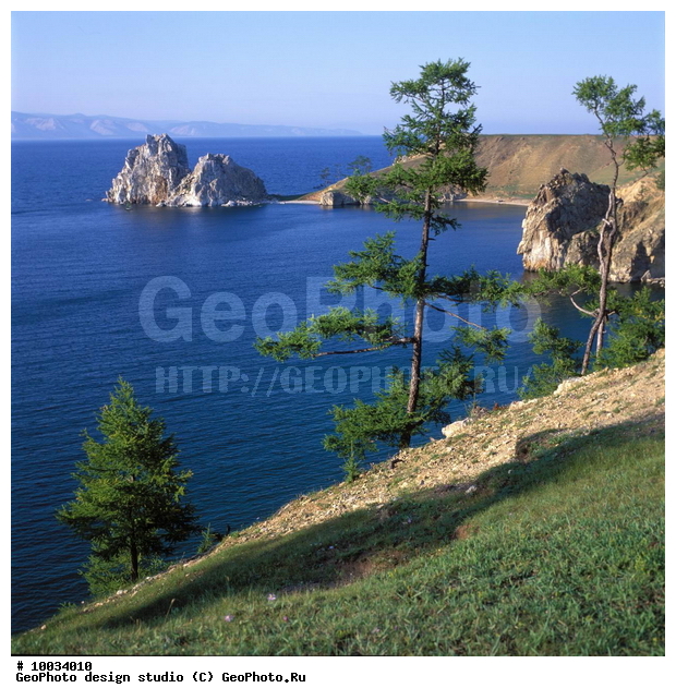 12, ���������