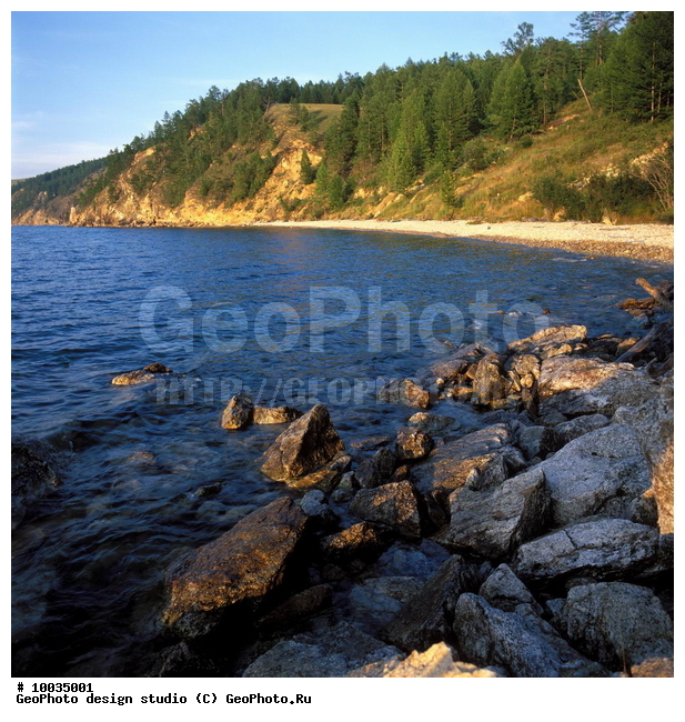 12, ���������