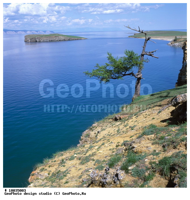 12, ���������