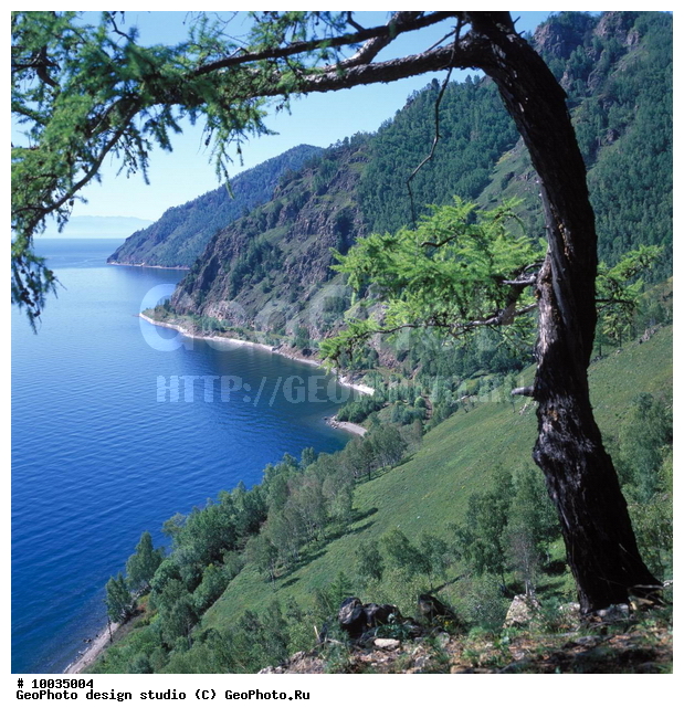 12, ���������