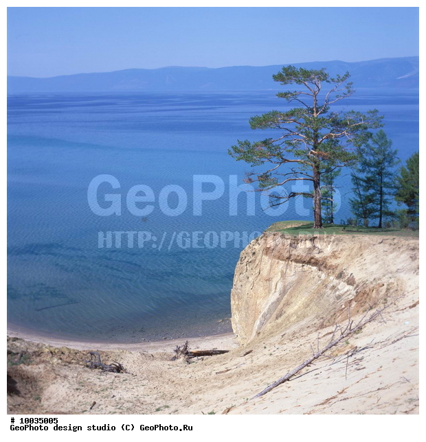 12, ���������