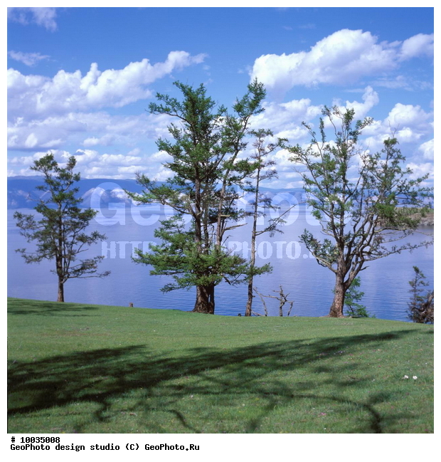 12, ���������