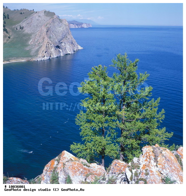 12, ���������