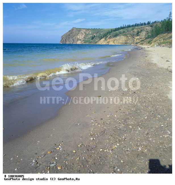 12, ���������