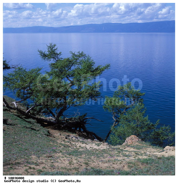 12, ���������