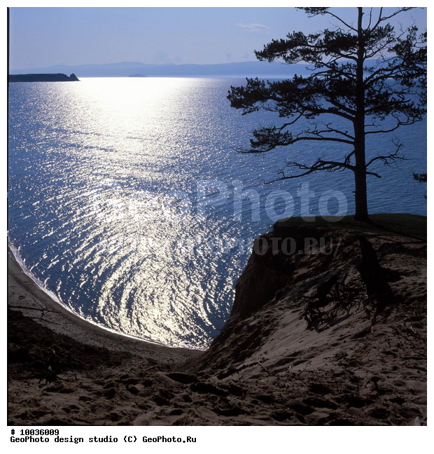 12, ���������