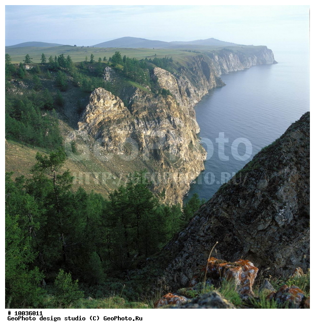 12, ���������