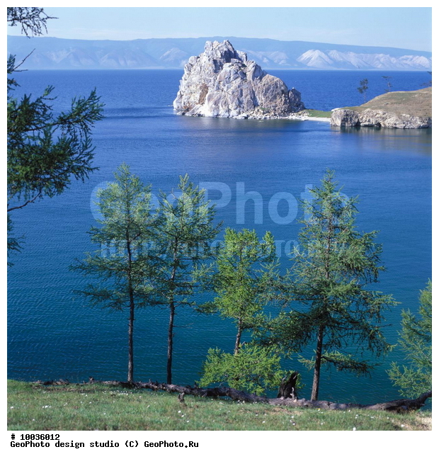 12, ���������