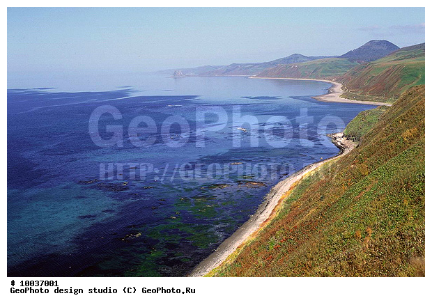 12, ���������