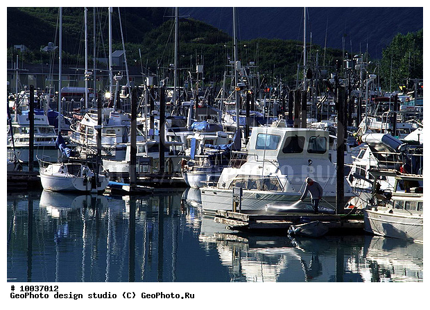 12, ���������