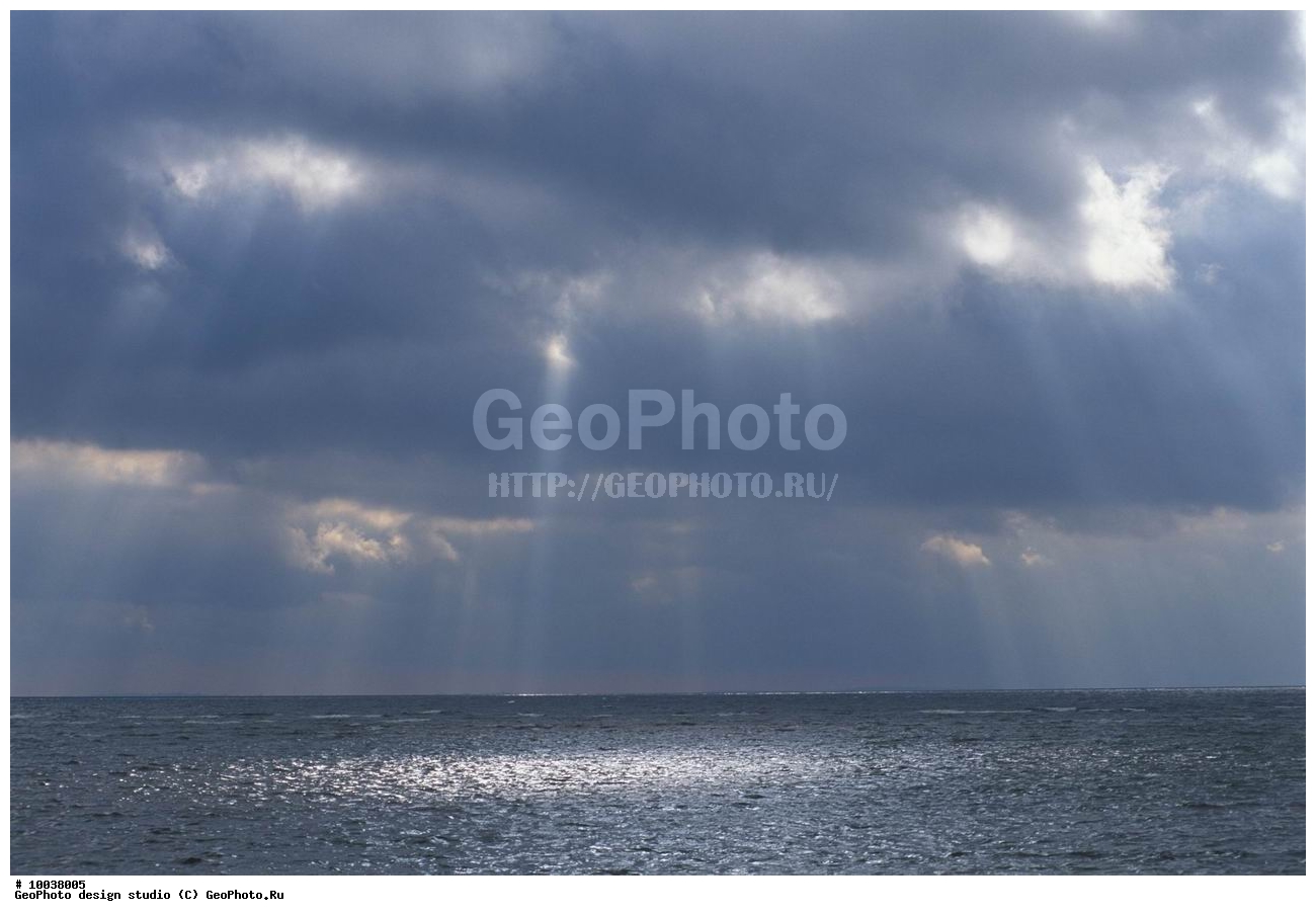 12, ���������