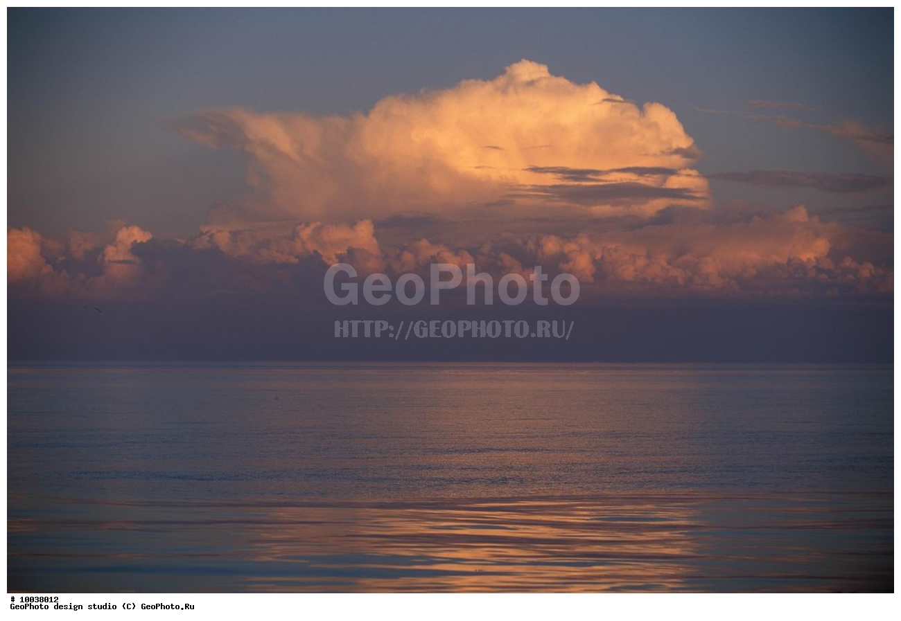 12, ���������