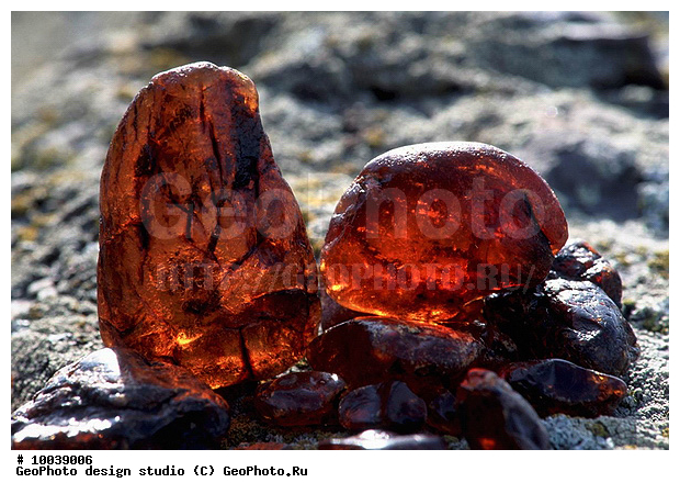 12, ���������