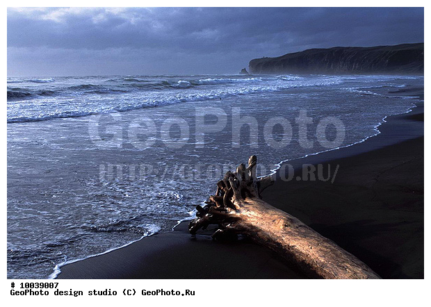 12, ���������