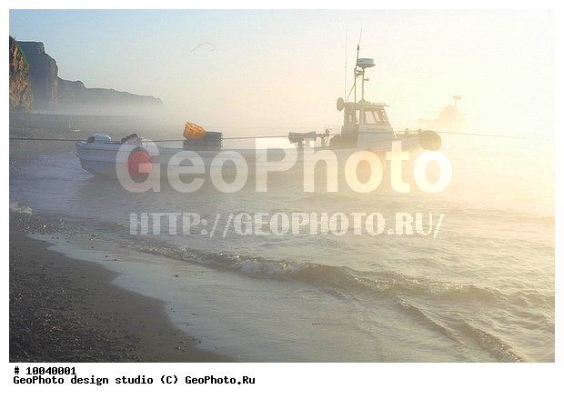 12, ���������