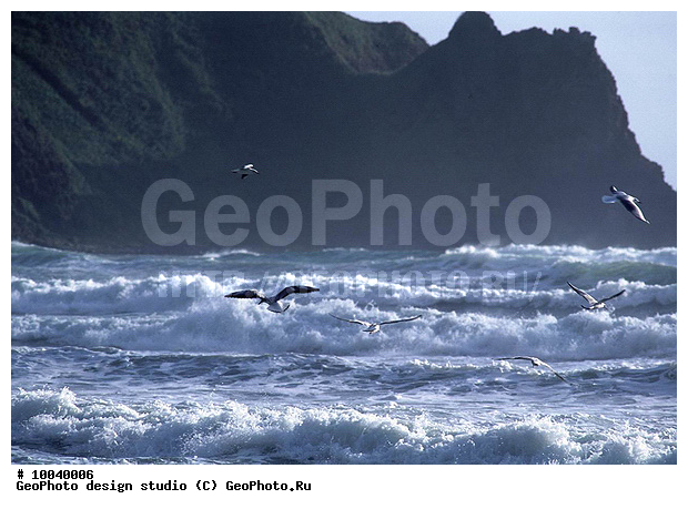 12, ���������