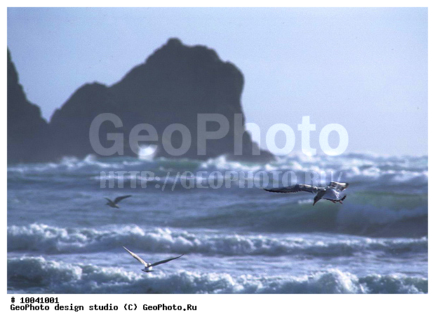 12, ���������