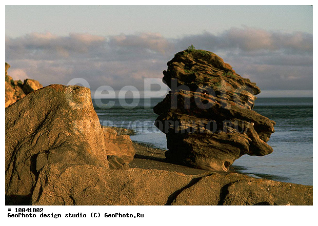 12, ���������