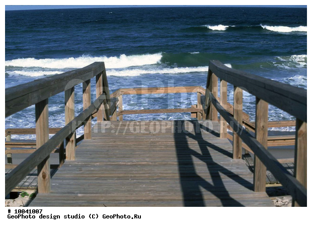 12, ���������