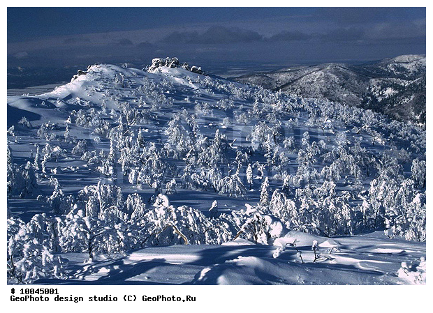 12, ���������