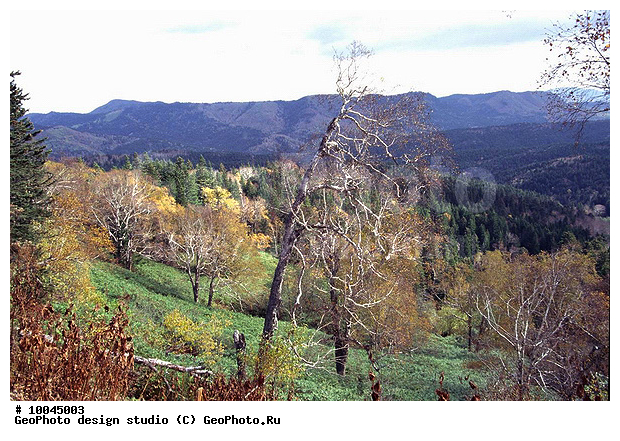 12, ���������