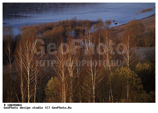 12, ���������