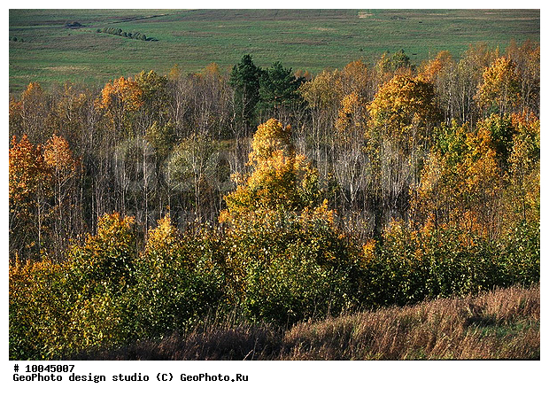 12, ���������