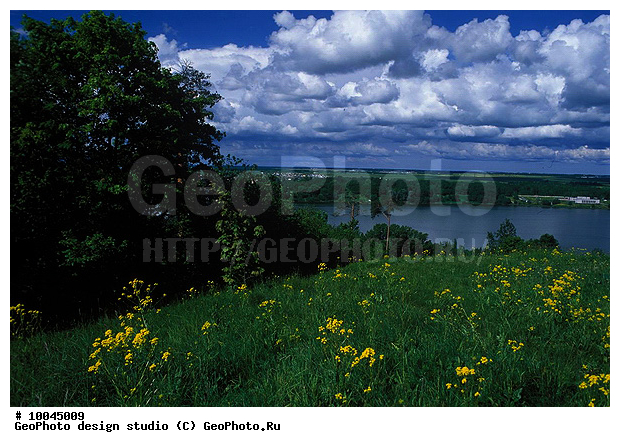 12, ���������