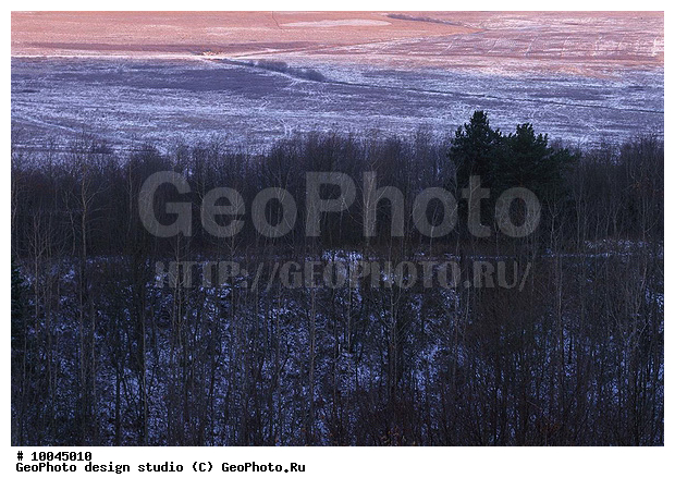 12, ���������