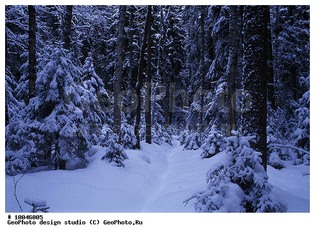 12, ���������