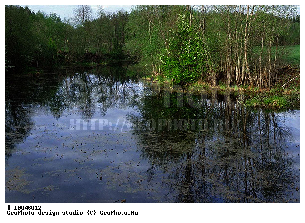 12, ���������