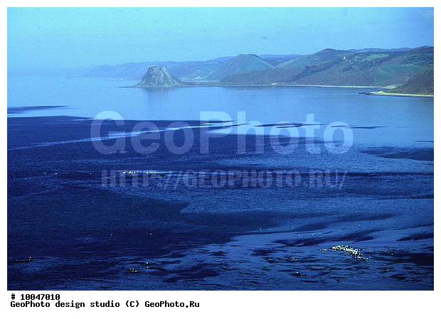 12, ���������