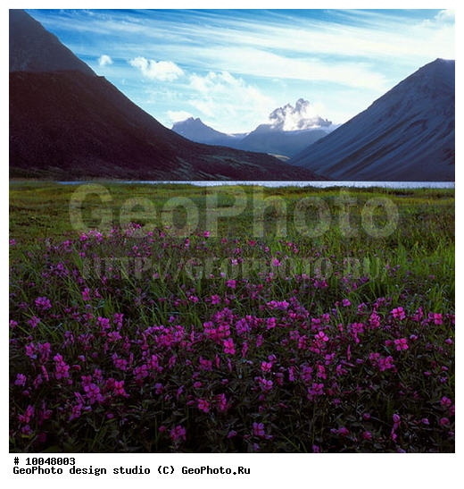 12, ���������