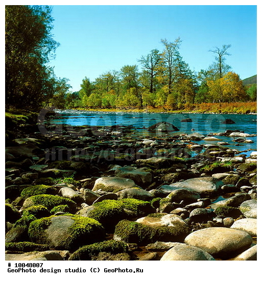 12, ���������