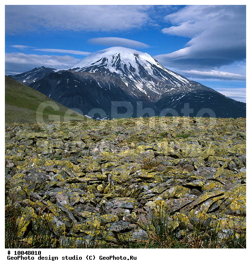 12, ���������