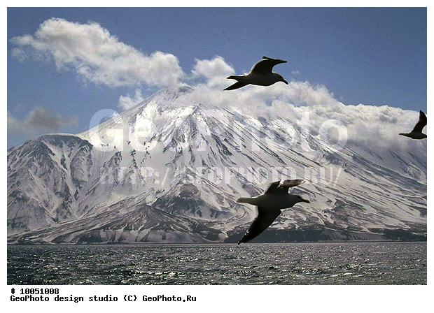 12, ���������, ��������