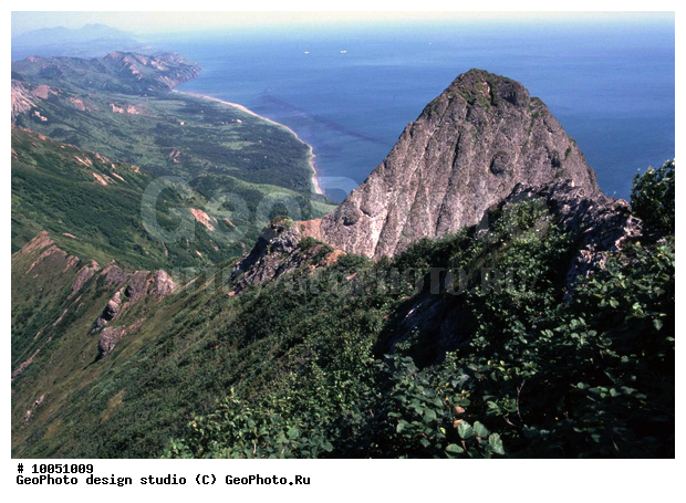 12, ���������, ��������