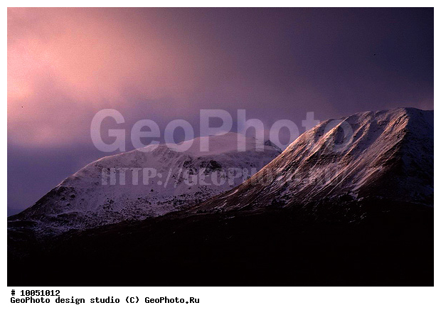 12, ���������, ��������