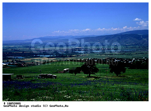 12, ���������