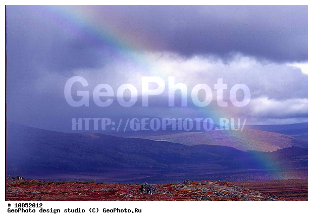 12, ���������