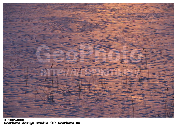 12, ���������