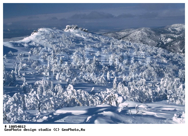 12, ���������