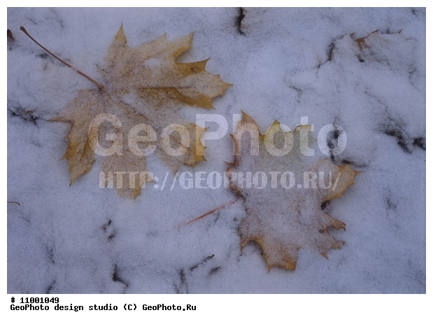 ���������, �������, �������