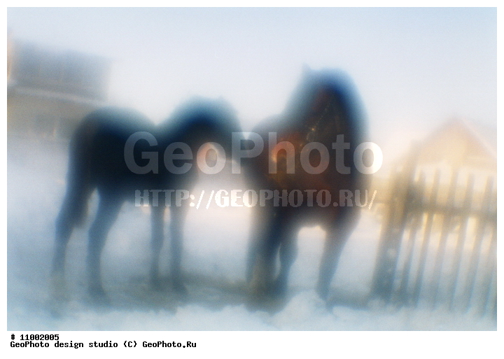 ��������, �������, ���������, �����